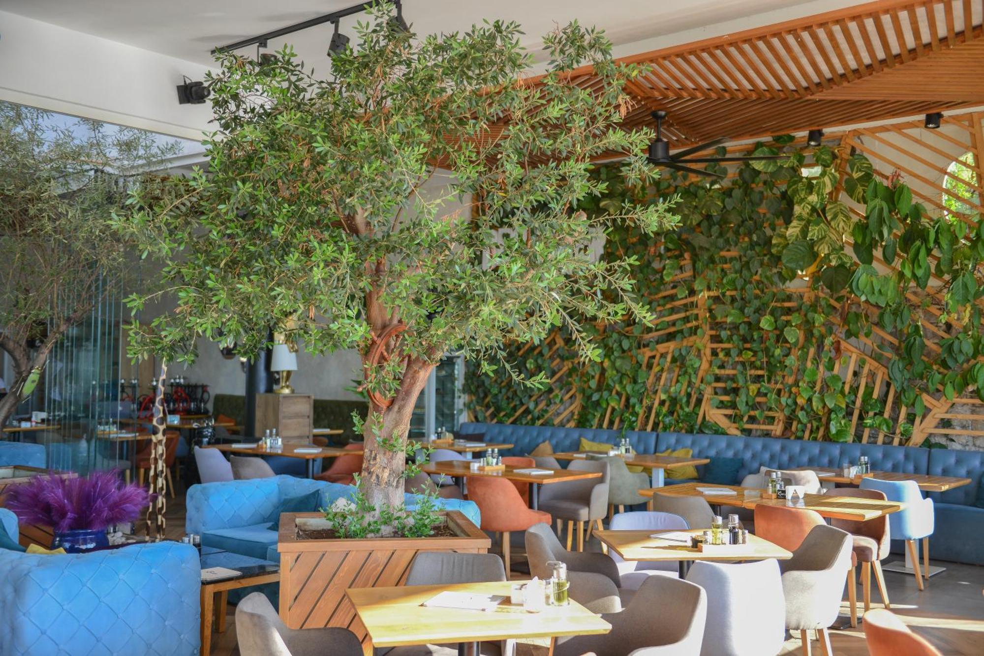 Hotel Riva Budva Ngoại thất bức ảnh